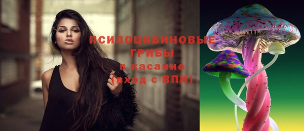 меф Гусь-Хрустальный