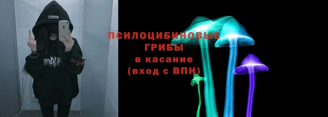 гашишное масло Гусев