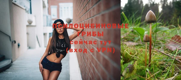 меф Гусь-Хрустальный