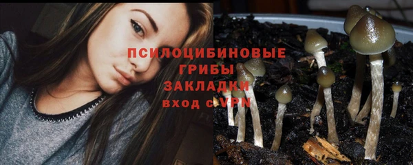 гашишное масло Гусев