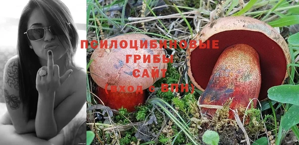кокс Гусиноозёрск