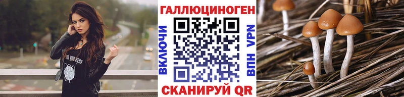 Купить закладки  Протвино  Галлюциногенные грибы Psilocybine cubensis 